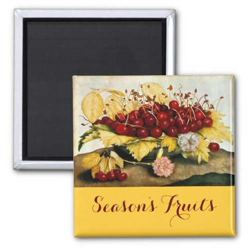 SEASONS FRUITS  CHERRIES AND CARNATIONS MAGNET