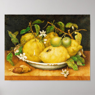 SEASON'S FRUITS LEMONS AND WHITE FLOWERS POSTER