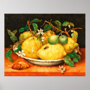 SEASON'S FRUITS LEMONS AND WHITE FLOWERS POSTER