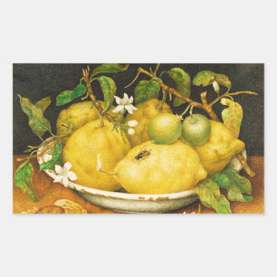 SEASON'S FRUITS LEMONS AND WHITE FLOWERS RECTANGULAR STICKER
