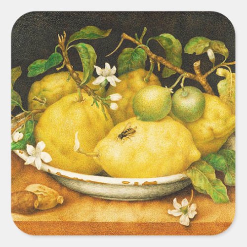 SEASONS FRUITS LEMONS AND WHITE FLOWERS SQUARE STICKER