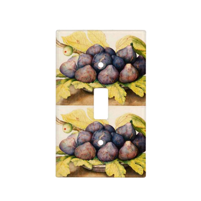 SEASON'S FRUITS / PLATE WITH FIGS AND GREEN LEAVES (Front)