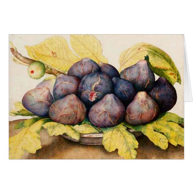 SEASON'S FRUITS / PLATE WITH FIGS AND GREEN LEAVES (Front Horizontal)
