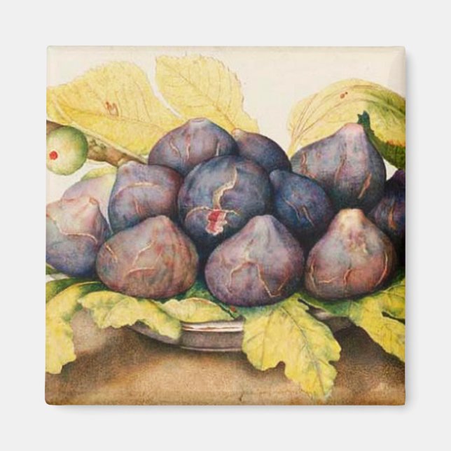 SEASON'S FRUITS / PLATE WITH FIGS AND GREEN LEAVES MAGNET (Front)