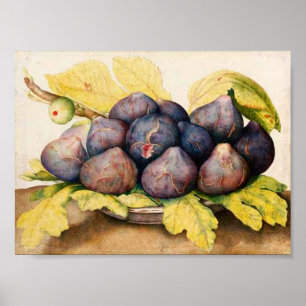 SEASON'S FRUITS / PLATE WITH FIGS AND GREEN LEAVES POSTER