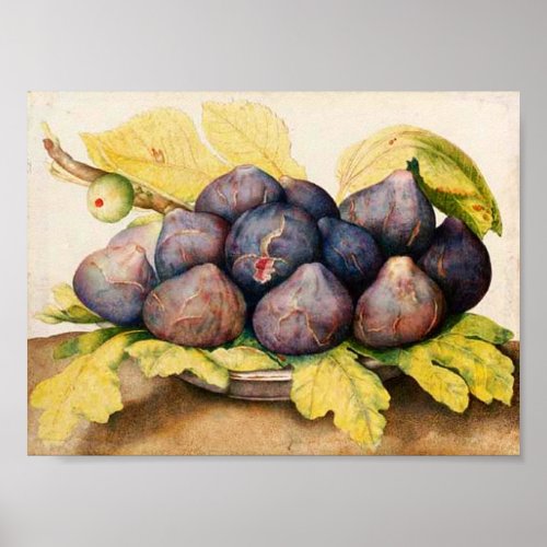 SEASONS FRUITS  PLATE WITH FIGS AND GREEN LEAVES POSTER