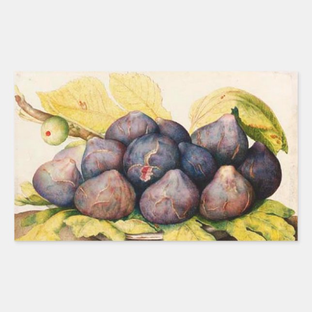 SEASON'S FRUITS / PLATE WITH FIGS AND GREEN LEAVES RECTANGULAR STICKER (Front)