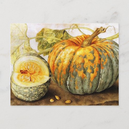 SEASONS FRUITS  PUMPKINS Halloween Thanksgiving Postcard