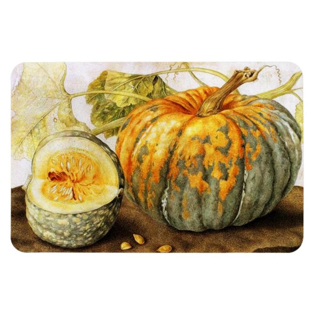 SEASON'S FRUITS  / PUMPKINS MAGNET (Horizontal)