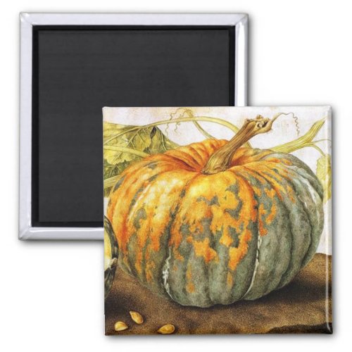 SEASONS FRUITS   PUMPKINS MAGNET