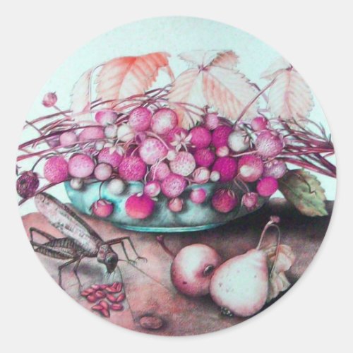 SEASONS FRUITS STRAWBERRIES AND PEARS CLASSIC ROUND STICKER