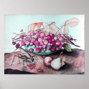 SEASON'S FRUITS / STRAWBERRIES AND PEARS POSTER