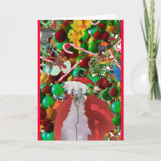 sEAsON'S gOaTINgS Holiday Card