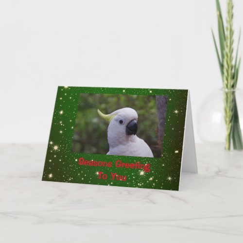 Seasons Greeting Holiday Card with Cockatoo Parrot