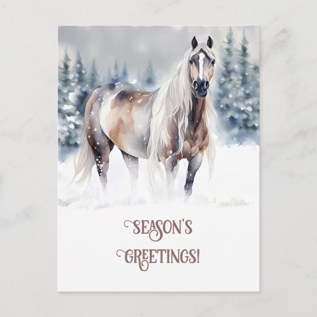 Seasons Greeting Horse in the Snow Holiday Postcard (Front)
