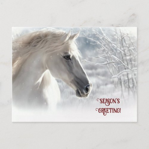 Seasons Greeting White Horse and Snow Holiday Postcard
