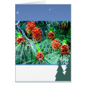 Seasons greetings_ (Front)