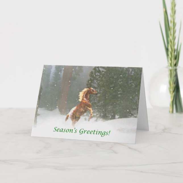 Season's Greetings Appaloosa Horse Holiday Card (Front)