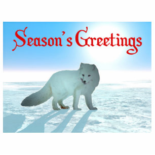 Season's Greetings - Arctic Fox Statuette