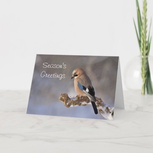 Seasons Greetings Bird Holiday Christmas Card