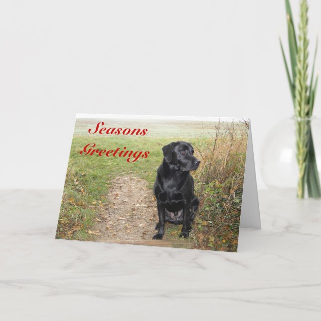 Seasons Greetings - Black Lab Holiday Card (Front)