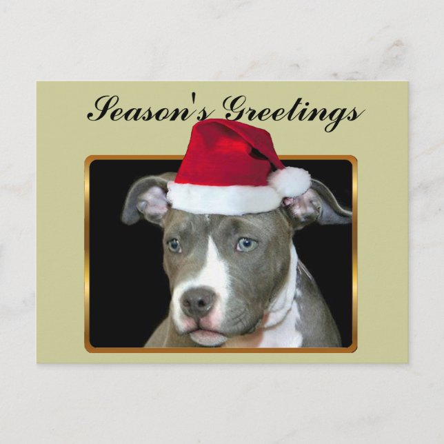 Season's Greetings blue pitbull puppy postcard (Front)