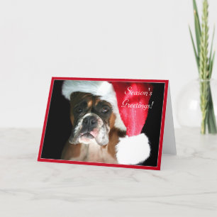 Season's Greetings Boxer dog greeting card