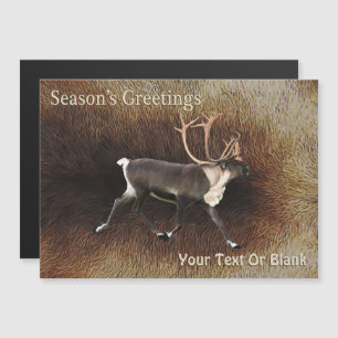 Season's Greetings - Bull Caribou (Reindeer)