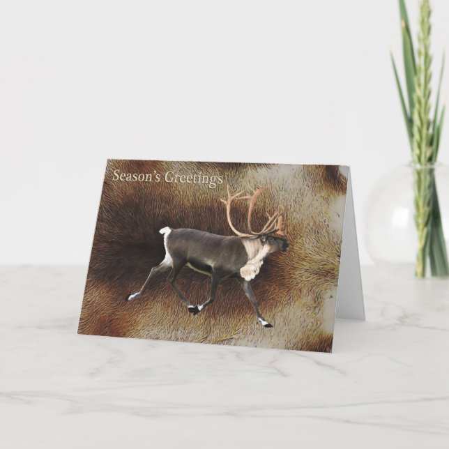 Season's Greetings - Bull Caribou (Reindeer) Holiday Card (Front)