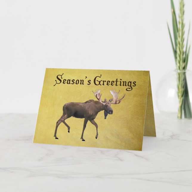 Season's Greetings - Bull Moose Holiday Card (Front)