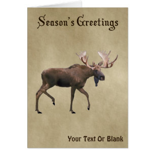Season's Greetings - Bull Moose On Old Paper Cards