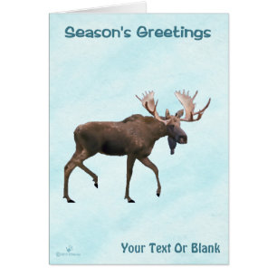 Season's Greetings - Bull Moose On Snow Cards