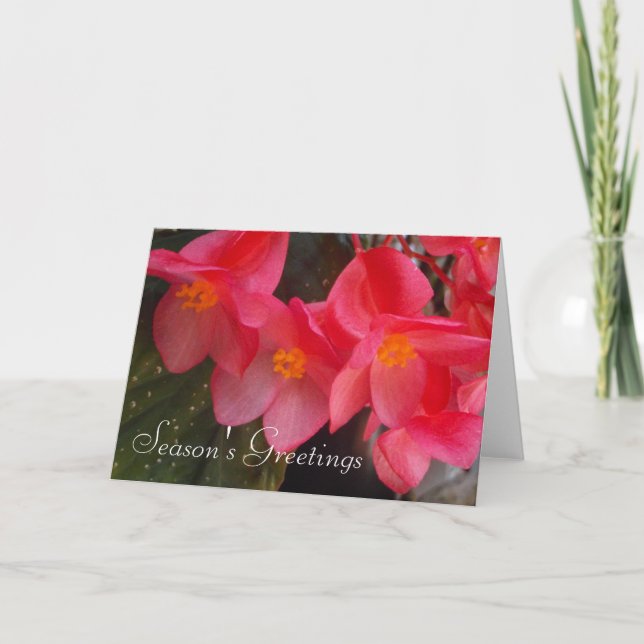 Season's Greetings Card (Front)