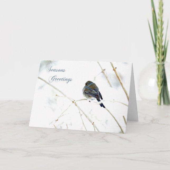 Seasons Greetings Card - Junco in Snow (Front)