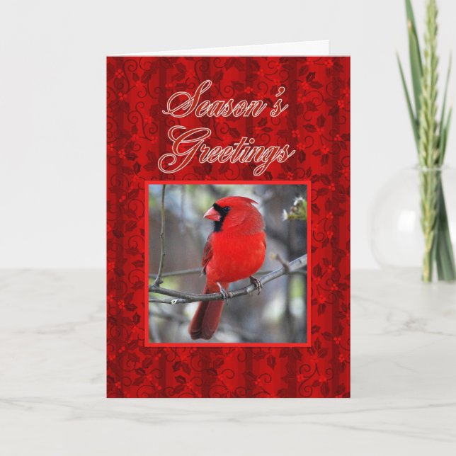 Season's Greetings Cardinal Holiday Card (Front)