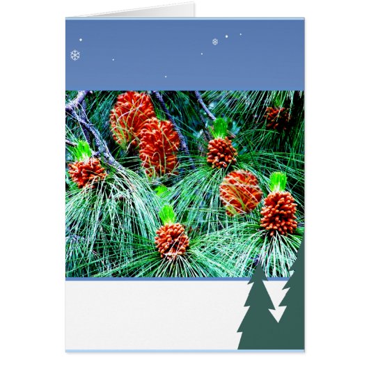 Seasons greetings_ cards (Front)