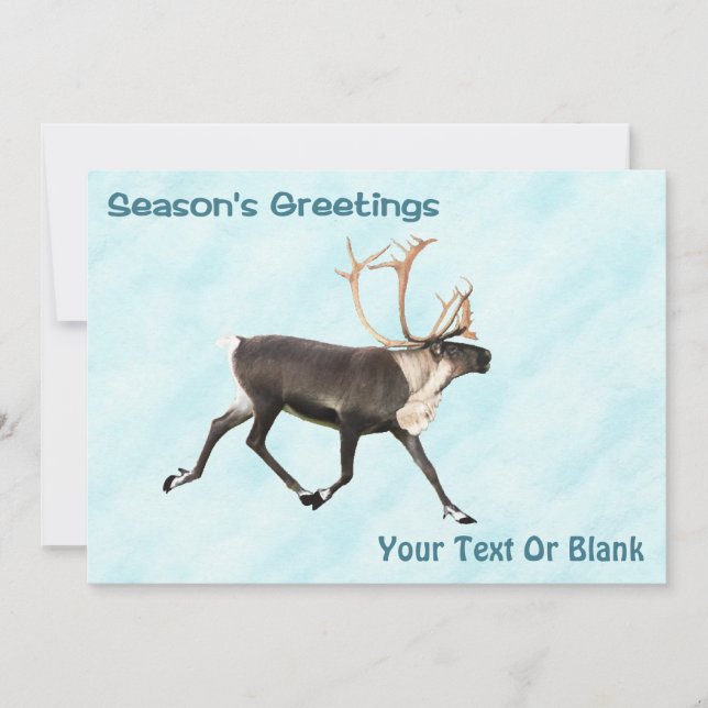 Season's Greetings - Caribou (Reindeer) On Snow (Front)