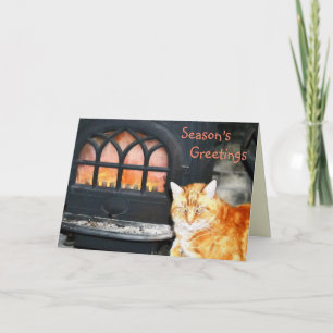 Season's Greetings Cat By Fire Holiday Card