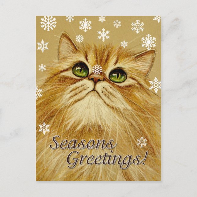 Seasons Greetings Cat & Snow - Postcard (Front)