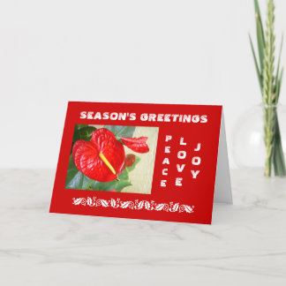 Season's Greetings Christmas Card