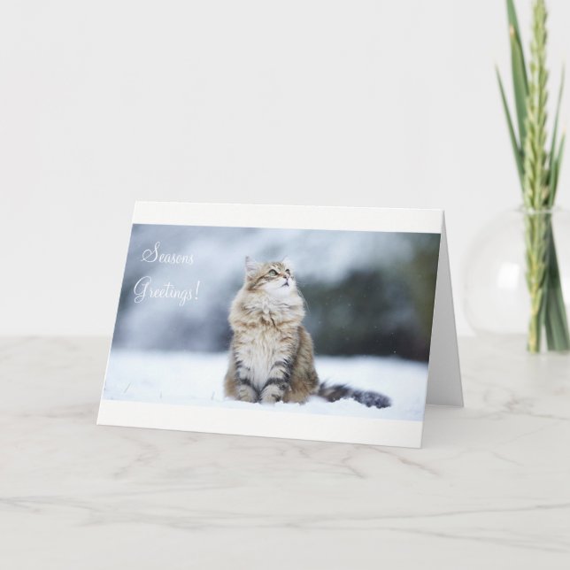 Seasons Greetings Christmas Card Cat (Front)