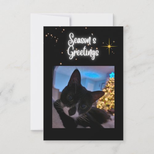 Seasons greetings Christmas card with tuxedo cat