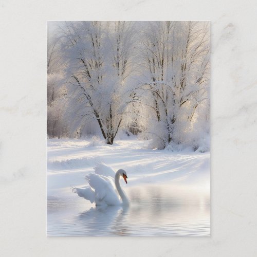 Seasons Greetings Christmas Swan in the Snow Holiday Postcard