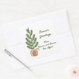 Season's Greetings Christmas Tree  Square Sticker