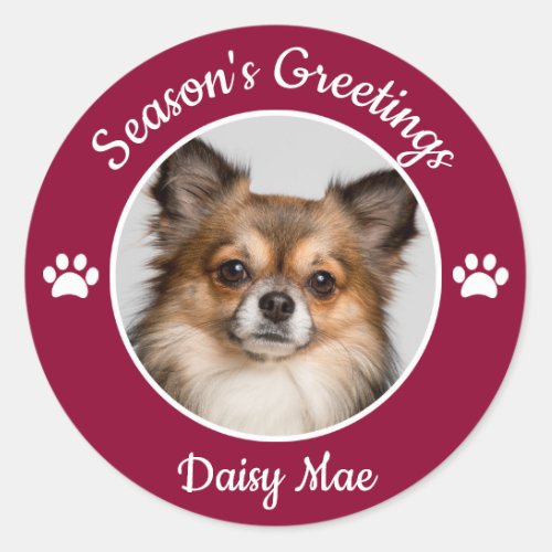 Seasons Greetings Cute Dog Photo with Name Paws Classic Round Sticker