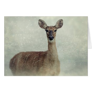 Seasons Greetings Deer Doe In Snow Season Card by FeelingLikeChristmas at Zazzle