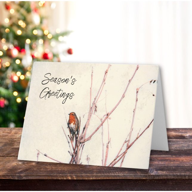 Seasons Greetings English Robin Personalized Holiday Card (Creator Uploaded)