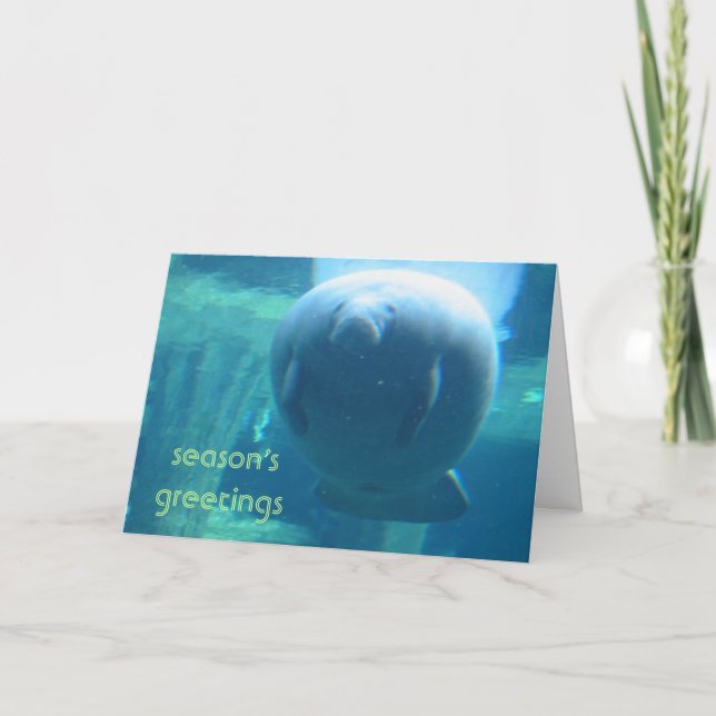 season's greetings - fat manatee holiday card (Front)