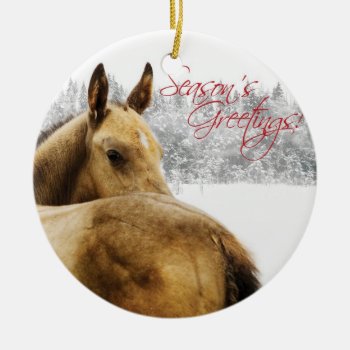Season's Greetings Foal Ceramic Ornament by PaintingPony at Zazzle