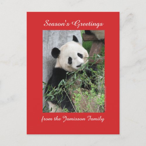 Seasons Greetings from Family Postcard